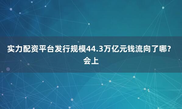 实力配资平台　　发行规模44.3万亿元　　钱流向了哪？　　会上