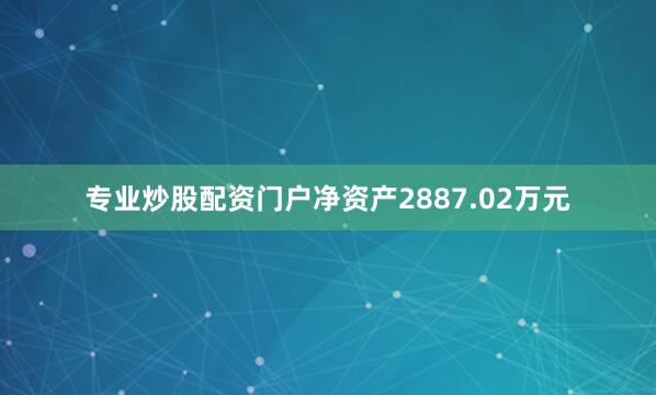 专业炒股配资门户净资产2887.02万元