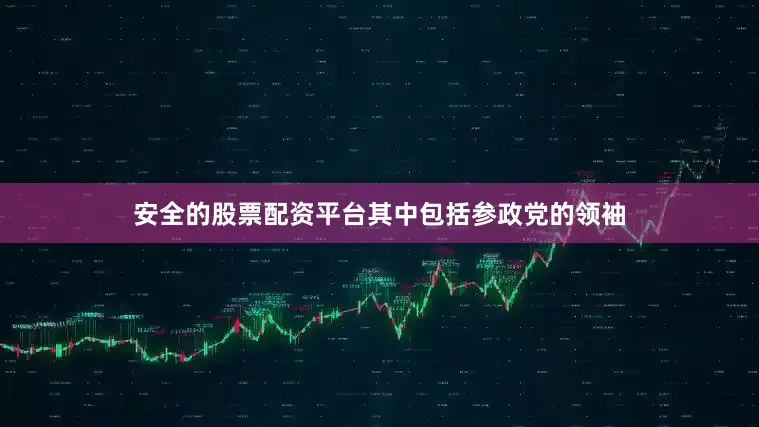 安全的股票配资平台其中包括参政党的领袖
