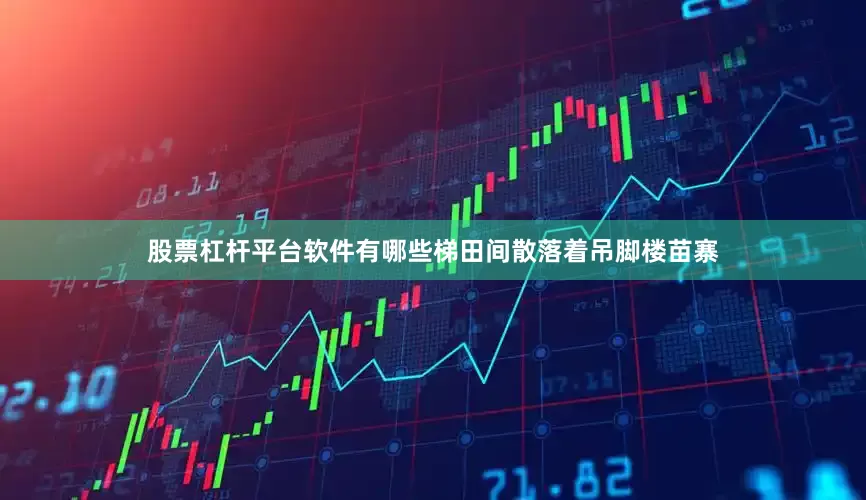 股票杠杆平台软件有哪些梯田间散落着吊脚楼苗寨